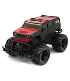 Play pacific 1:20 Off-Road Passion Mad Cross Country Racing Car for kids (Multicolor)
